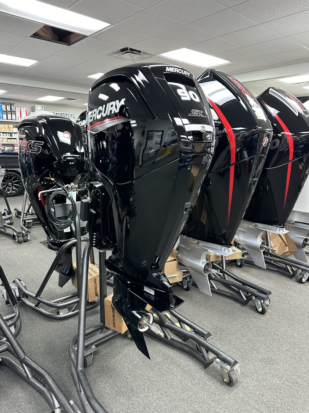 IMG_2743-e1706198978168-1024x1365